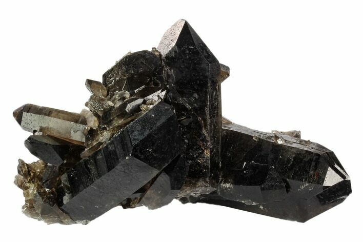 Dark Smoky Quartz Crystal Cluster - Brazil #124597